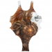 Olympic Women's One-piece Costume 34.90 &euro;