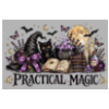Zerbino Practical magic 1