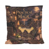 Practical magic pillow