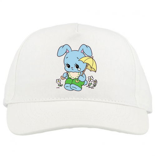 Baseball Cap Premium
