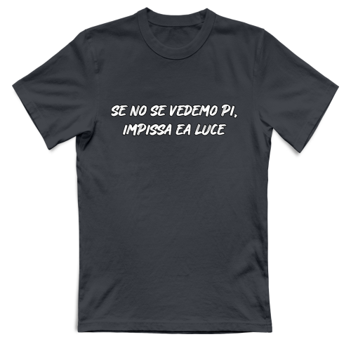 T-Shirt Unisex Large