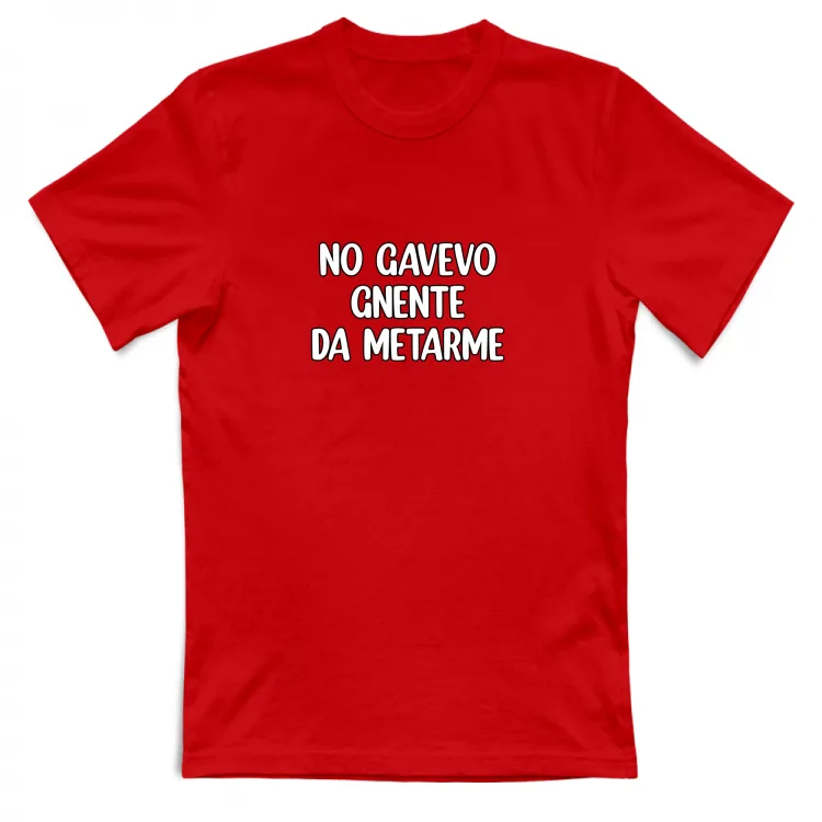 NO GAVEVO GNENTE DA METARME